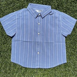 PHOENIX button down - BLUE